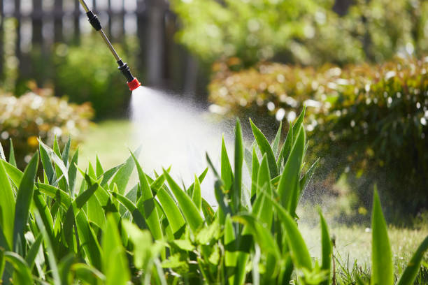 24/7 Emergency Cockroach Control experts in Riverton, WY