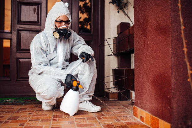 Reliable Cockroach Control contractor in Riverton, WY by Nex Pest Control